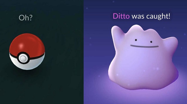 How to get and catch a Ditto in Pokemon Go